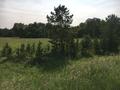 Участок · 20 соток, Мкр. Ак-кайын 9 за 11 млн ₸ в Щучинске — фото 2