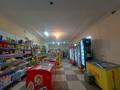 Жеке үй · 3 бөлме · 150 м² · 10 жүзд., Алшынбаев 11 — Көктем, бағасы: 25 млн ₸ в  — фото 19