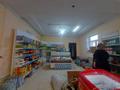 Жеке үй · 3 бөлме · 150 м² · 10 жүзд., Алшынбаев 11 — Көктем, бағасы: 25 млн ₸ в  — фото 20