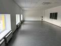 Склады · 2100 м² за ~ 11.6 млн ₸ в Алматы, Турксибский р-н — фото 6
