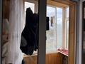 2-бөлмелі пәтер · 50 м² · 2/5 қабат, Приозерная 6, бағасы: 25.5 млн ₸ в Щучинске — фото 3