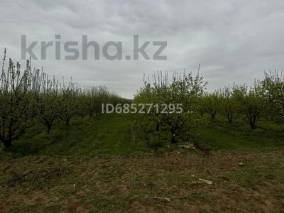Яблоневый сад за 100 млн 〒 в Байдибек би