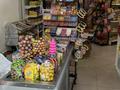 Действующий магазин · 54 м² за 7 млн ₸ в Алматы, Бостандыкский р-н — фото 4