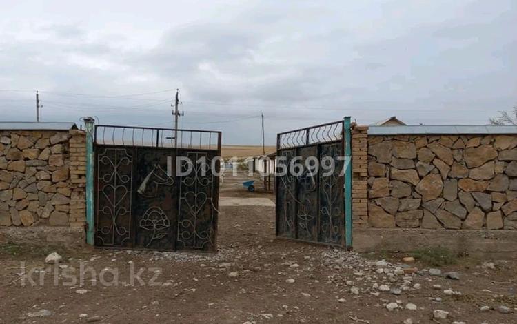 Сельское хозяйство · 110000 м² за 300 млн ₸ в Тюлькубасе — фото 2