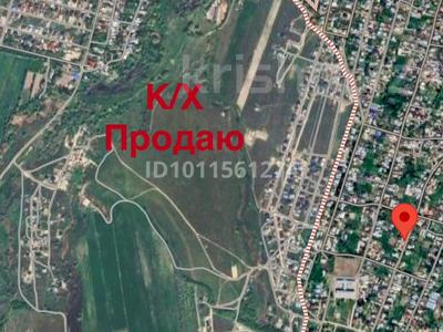 Участок · 2.5 га, Жанадаур — В черте населенного пункта за 50 млн ₸ в Алатау