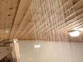 Банный Комплекс · 300 м², бағасы: 45 млн ₸ в Усть-Каменогорске — фото 13