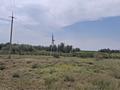 Участок · 173 га, Акши (Енбекшиказахский район) за 90 млн ₸ — фото 5