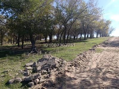 Участок · 4 га, Арна за 89 млн 〒