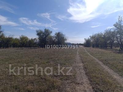 Жер телімі · 4 га, Арна, бағасы: 89 млн ₸