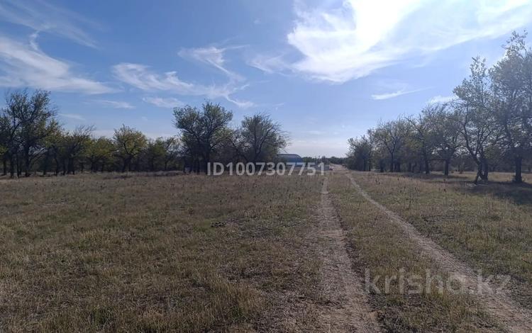 Участок · 4 га, Арна за 89 млн ₸ — фото 3
