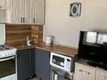 Отдельный дом · 4 комнаты · 85 м² · 4 сот., Хаджимукана — Каз.край. за 19 млн ₸ в Семее — фото 12