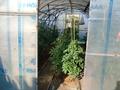 Жеке үй · 3 бөлме · 50 м² · 6 жүзд., Пржевальского 38, бағасы: 18 млн ₸ в Усть-Каменогорске, Ульбинский — фото 31