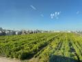 4-бөлмелі пәтер · 126.5 м² · 7/9 қабат, Е-321 6/2, бағасы: 110 млн ₸ в Астане, Есильский р-н — фото 11