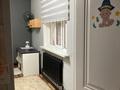 Отдельный дом · 4 комнаты · 85 м² · 8 сот., Байконыр 44 за 40 млн ₸ в Боралдае (Бурундай) — фото 32