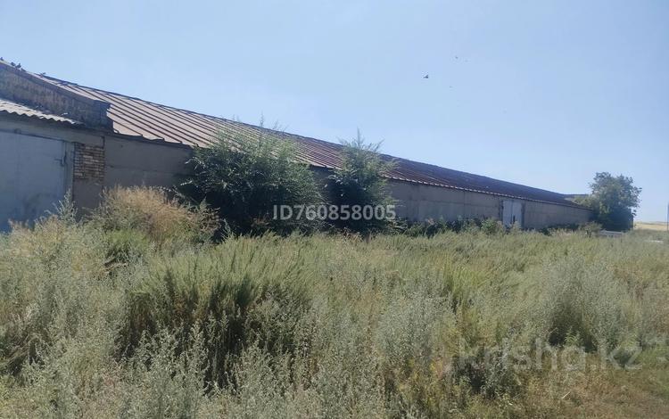 Сельское хозяйство · 2500 м² за 75 млн 〒 в Караганде — фото 2