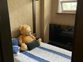 Монша, қонақ үй және демалыс орындары · 250 м², бағасы: 450 000 ₸ в Павлодаре — фото 26