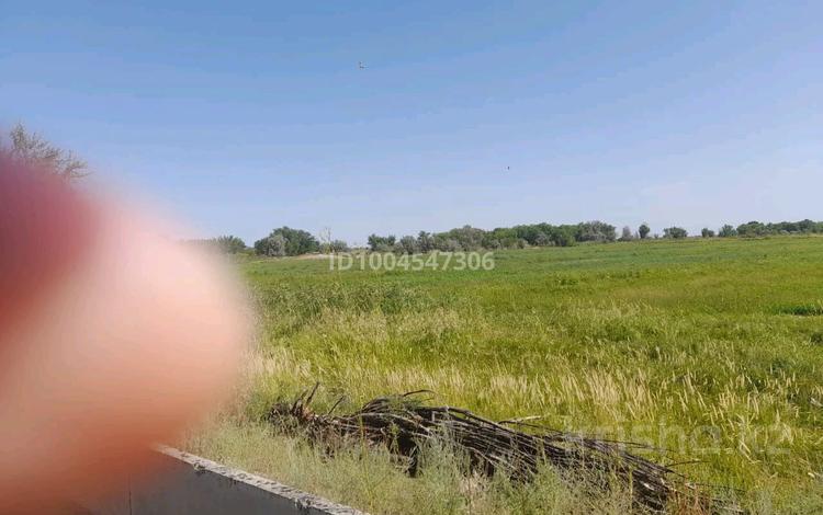 Участок · 10 га, С. Карашенгель за 20 млн ₸ в Уштобе — фото 17