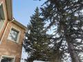 Жеке үй · 5 бөлме · 250 м² · 8 жүзд., Кирова 28, бағасы: 78 млн ₸ в Щучинске — фото 8