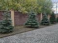 Жеке үй · 4 бөлме · 300 м² · 10 жүзд., Жиембет Жырау — Райгаз, школа #55, бағасы: 85 млн ₸ в Актобе — фото 10