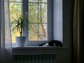 Жеке үй · 4 бөлме · 300 м² · 10 жүзд., Жиембет Жырау — Райгаз, школа #55, бағасы: 85 млн ₸ в Актобе — фото 6