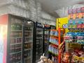 Свободное назначение, магазины и бутики, медцентры и аптеки · 550 м² за 70 млн ₸ в Узынагаш — фото 11