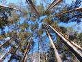 Жеке үй · 10 бөлме · 392 м² · 8 жүзд., Юго западный берег озера Щучье, бағасы: 600 млн ₸ в Щучинске — фото 45