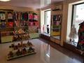 Свободное назначение, магазины и бутики, салоны красоты • 130 м² за 60 млн 〒 в Таразе — фото 11