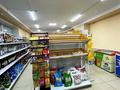 Успешно работающий продуктовый Супермаркет категорий «А» · 150 м² за 60 млн ₸ в Бурабае — фото 2
