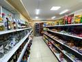 Успешно работающий продуктовый Супермаркет категорий «А» · 150 м² за 60 млн ₸ в Бурабае — фото 3