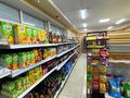 Успешно работающий продуктовый Супермаркет категорий «А» · 150 м² за 60 млн ₸ в Бурабае — фото 5