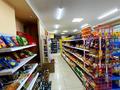 Успешно работающий продуктовый Супермаркет категорий «А» · 150 м² за 60 млн ₸ в Бурабае — фото 7