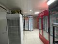 Успешно работающий продуктовый Супермаркет категорий «А» · 150 м² за 60 млн ₸ в Бурабае — фото 9