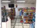 Магазины и бутики • 200 м² за 37 млн 〒 в Узынагаш — фото 6