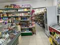 Готовый прибыльный магазин с постоянными клиентами · 62 м² за 30 млн ₸ в Сатпаев