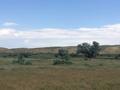 Участок · 10000 соток, Бакбакты за 250 млн ₸ в Баканасе — фото 56
