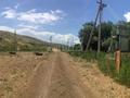 Участок · 10000 соток, Бакбакты за 250 млн ₸ в Баканасе — фото 20