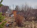 Дача · 1 комната · 14 м² · 8 сот., Садовое общество Химик за 5 млн ₸ в Костанае — фото 11