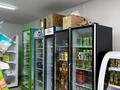Магазин Айла · 50 м², бағасы: 8.5 млн ₸ в Каскелене — фото 2
