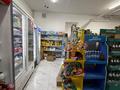 Магазины и бутики · 267 м² за 130 млн ₸ в Семее — фото 6