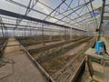 Продаётся готовый бизнес Улытау Флора · 2000 м² за 150 млн ₸ в Жезказгане — фото 14
