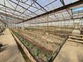 Продаётся готовый бизнес Улытау Флора · 2000 м² за 150 млн ₸ в Жезказгане — фото 15