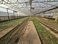 Продаётся готовый бизнес Улытау Флора · 2000 м² за 150 млн ₸ в Жезказгане — фото 4