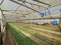 Продаётся готовый бизнес Улытау Флора · 2000 м² за 150 млн ₸ в Жезказгане — фото 5