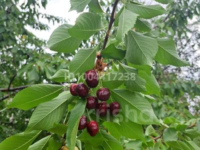 Дача · 1 комната · 10 м² · 8 сот., мкр Геолог, Энергетик 10 за 8.5 млн 〒 в Атырау