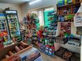 Магазины и бутики • 24 м² за 20 млн 〒 в Шымкенте, Енбекшинский р-н — фото 5