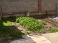 Отдельный дом · 8 комнат · 204 м² · 8.5 сот., Кенесарыхан 12 — Еламан базарының артында Асу банианың қасында за 69 млн ₸ в Жамбыл (Жамбылский район) — фото 47