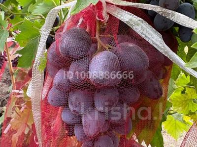 Отдельный дом · 4 комнаты · 110 м² · 10 сот., Участок172 Геолог5 — Арман за 30 млн 〒 в Актобе, жилой массив Заречный-1