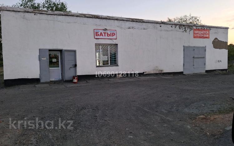 Отдельностоящее здание · 123 м², бағасы: 13 млн ₸ в Сарани — фото 10