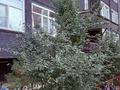 1-бөлмелі пәтер · 47.3 м² · 9/10 қабат, просп. Алии Молдагуловой 60/1, бағасы: 17.7 млн ₸ в Актобе — фото 4