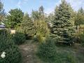 Отдельный дом · 4 комнаты · 120 м² · 12 сот., Демесинова 20 — ДК за 42 млн ₸ в Турген — фото 21